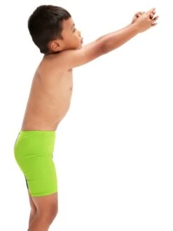 Speedo Jammers - Harmony Blue/Green Lizard -Swimmer Shop 00323815494 2