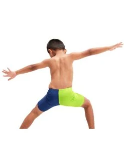 Speedo Jammers - Harmony Blue/Green Lizard -Swimmer Shop 00323815494 4