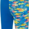 Speedo Toddlers Jammers - Fish/Lagoon Blue -Swimmer Shop 00348218661