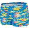 Speedo Toddlers Aqua Shorts - Fish/Lagoon Blue -Swimmer Shop 00348318661